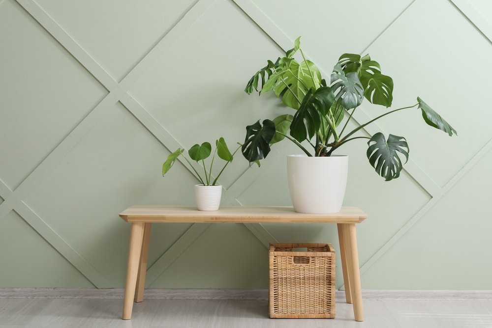 Rekomendasi Wallboard Terbaik untuk Interior Rumah